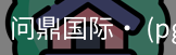 问鼎国际